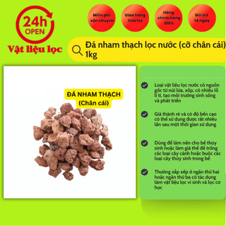 Đá nham thạch lọc nước (cỡ chân cái) 1kg