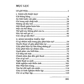 Sách - Đức Phật Bên Trong - Bìa Mềm