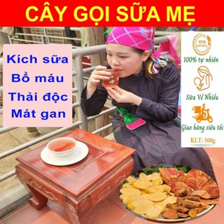 Cây lợi sữa, kích sữa , giúp tăng sữa, sữa đặc, sữa thơm mát, hàng loại 1