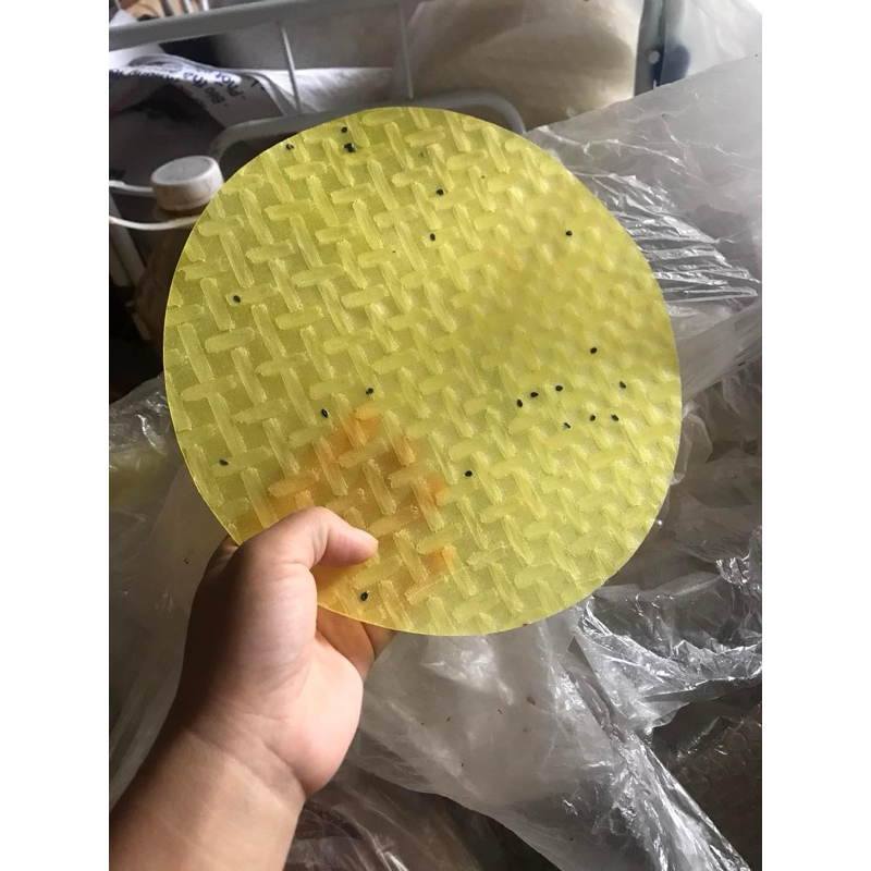 1kg Vỏ Bánh Tráng Nướng Mè Vàng (1kg/50 Cái)