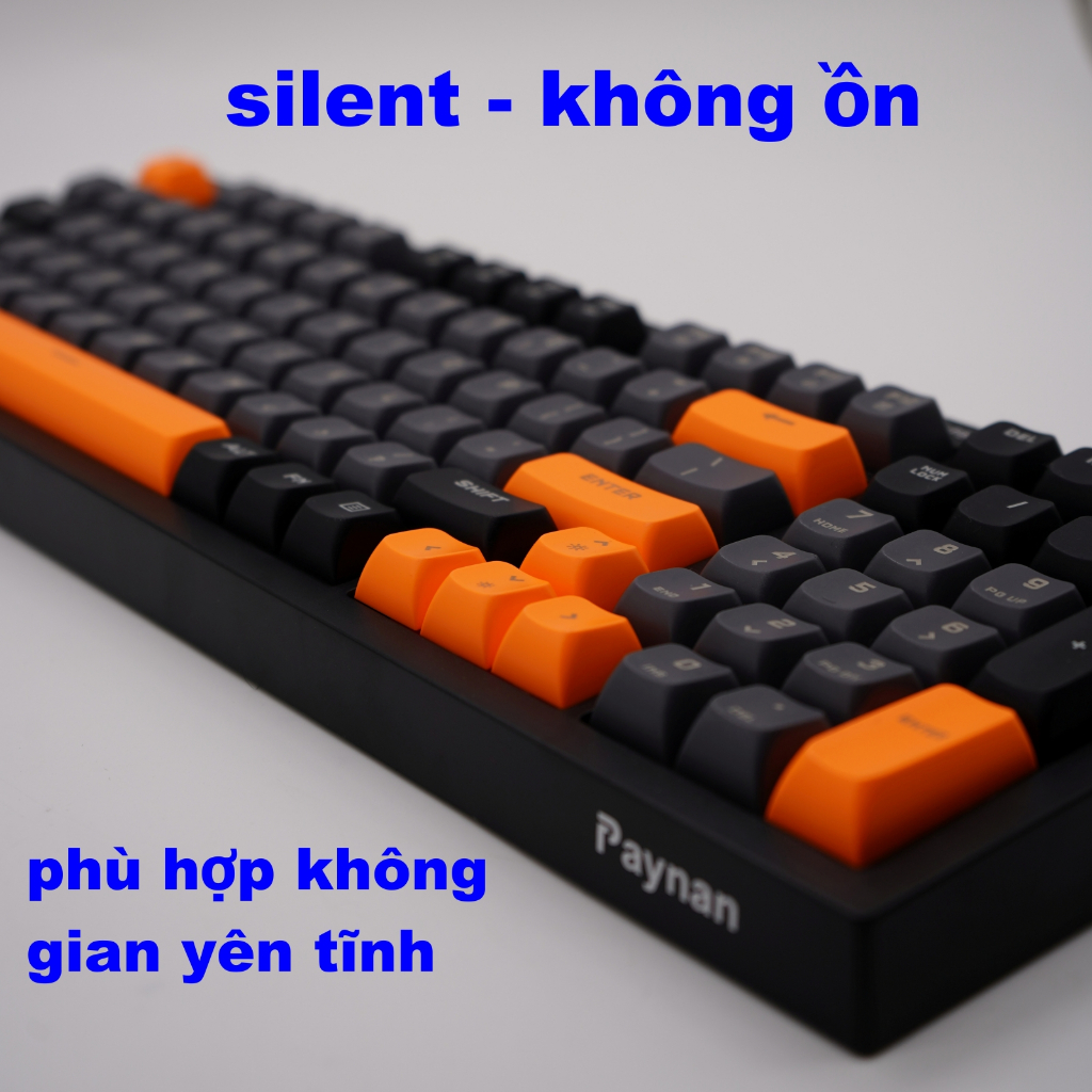 Bàn phím văn phòng Paynan chống ồn kết nối cáp 98 phím led Rainbow keycap nhiều màu sắc năng động | BigBuy360 - bigbuy360.vn
