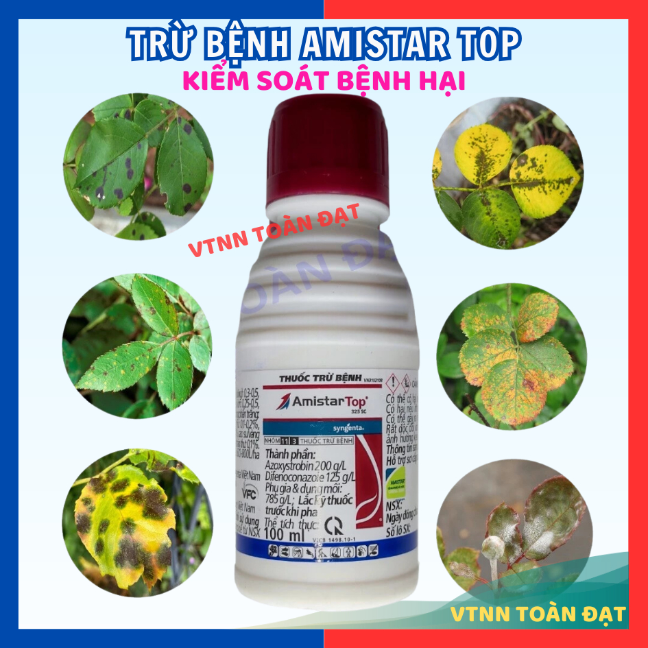 Thuốc Trừ Bệnh Amistar top 325SC (100ml)