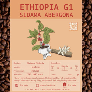 Cà phê Specialty Ethiopia Sidama Arbegona Natural G1 rang medium gói 200gram