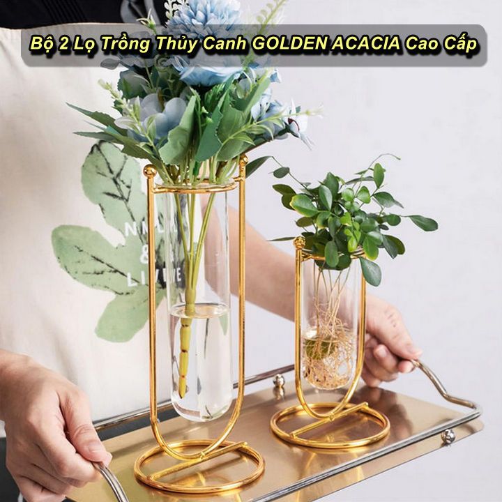 Bộ 2 Bình Hoa GOLDEN ACACIA Cao Cấp D-3-G8-T1068