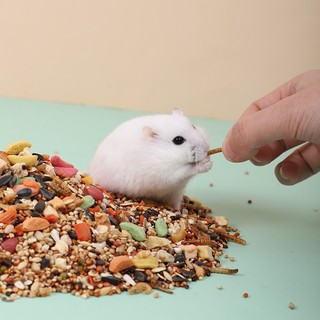 Thức Ăn Trộn Hamster rang bơ VIP Siêu Ngon - Đầy Đủ Sâu Khô, Ức Gà, Cá Sợi - Giúp Bé Béo Mầm, Lông Mượt (Túi 500g/1kg)
