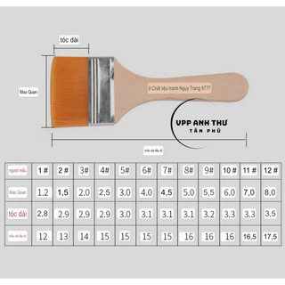 COMBO 5 CỌ BẢN NGANG - CỌ BẢN VÀNG CHỔI VẼ MÀU , SƠN TƯỜNG