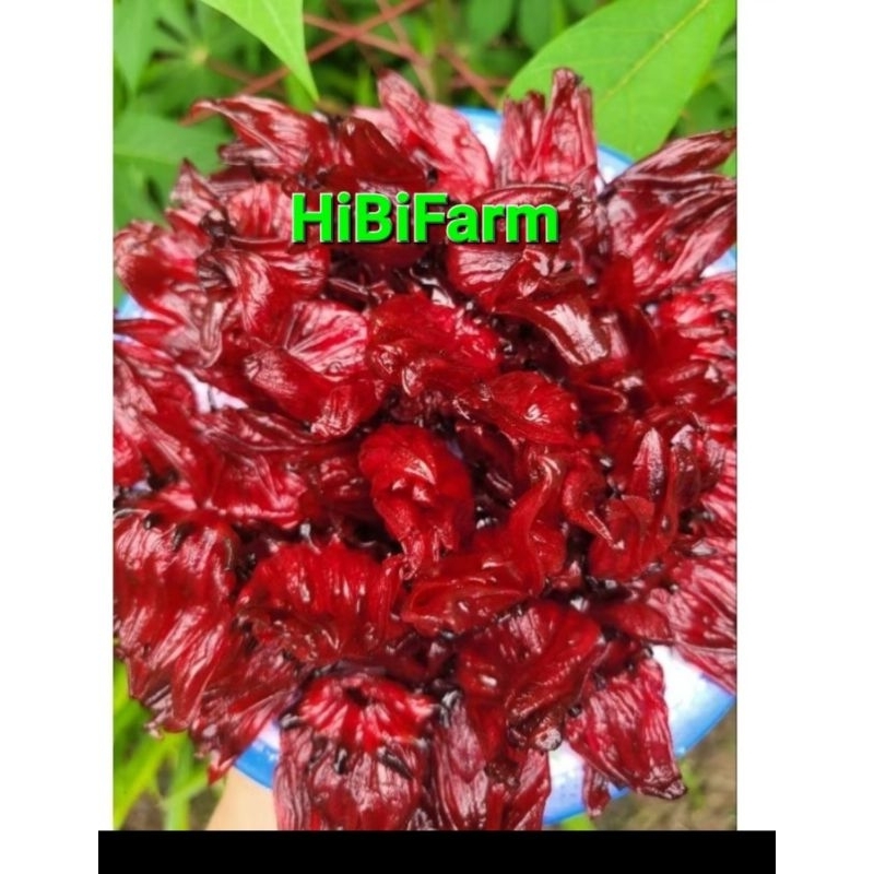 (1KG)Mứt Hibicus /Atiso đỏ/ Mứt TOPPING DÀNH CHO CÁC QUÁN