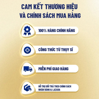 [Quà tặng không bán] Gối Con Mèo Vàng