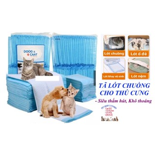  Tã lót chuồng cho Chó Mèo Doog & Caat Siêu thấm hút khô thoáng Giúp khu vực vệ sinh thú cưng luôn khô thoáng 
