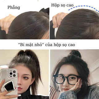 Bộ Tóc Giả Tạo Phồng Đỉnh Đầu Tự Nhiên Kẹp Tóc Giả Đỉnh Đầu Sang Trọng