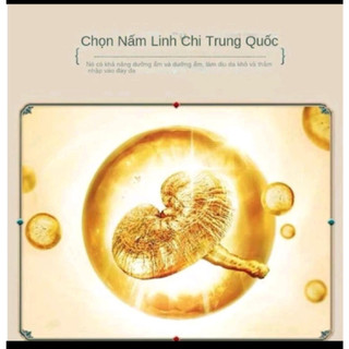 Set bộ mỹ phẩm dưỡng da Nhân sâm Linh chi toàn diện 10 món
