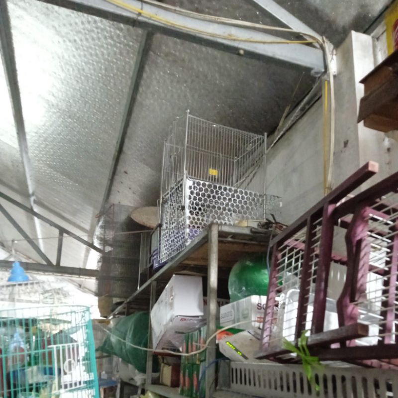 bách hoá lồng bắt chuột,mèo, sóc