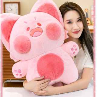  Bộ Chăn Gối Mèo Du Du Kèm Chăn Gấu Bông Capina.868 Mèo Dudu Kèm Chăn 2in1 