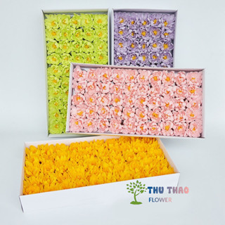  Hoa sáp cúc dalia đa dạng màu sắc dùng làm quà tặng ý nghĩa bó hoa  50 bông  