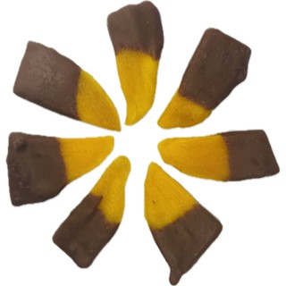 Xoài sấy dẻo phủ socola đen Bản Cacao - Dipped Dark chocolate mango