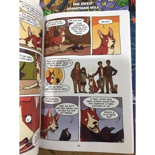 Sách - Science Comics - 29 books