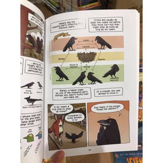 Sách - Science Comics - 29 books