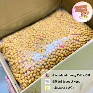 1Kg Đậu Phộng Da Cá Cốt Dừa (Giòn ngon – Bổ dưỡng)