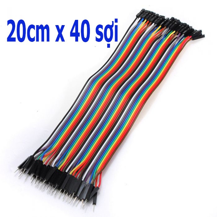 Dây Bus 2.54 (dây test board)