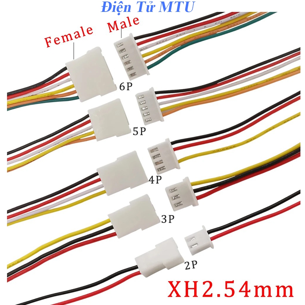Dây Bus Kết Nối XH2.54 2P 3P 4P 5P 6P dài 20cm