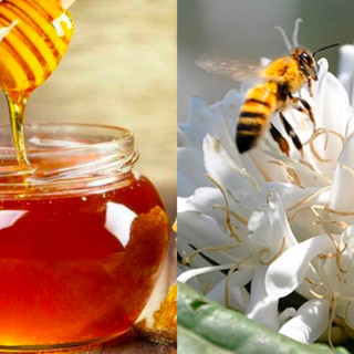 Mật Ong Hoa Cà Phê Đắk Lắk Nguyên Chất, Thơm Ngọt Tự Nhiên, Tăng Cường Sức Đề Kháng - Chai 1 Lít