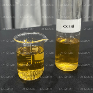 20Gr - 50Gr - 100Gr Chiết xuất cây phỉ