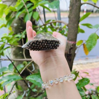 [250 CÂY] 5 THẺ NHANG BÀI RỤNG TÀN