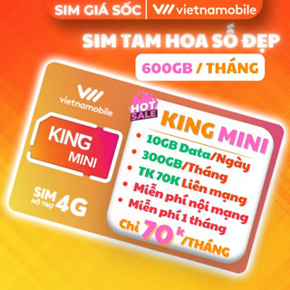 SIM TAM HOA Chính chủ Vietnamobile, KING MINI 300GB/tháng, Miễn phí nội mạng, tặng 70k ngoại mạng. MIỄN PHÍ 1 THÁNG