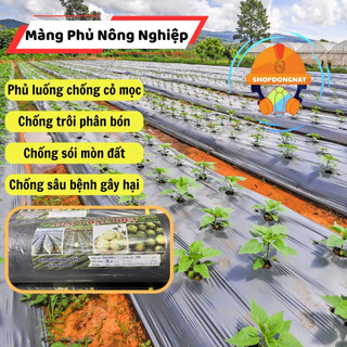   Cuộn 400m   16 Mic  Màng Phủ Chống Cỏ_ Màng Phủ Nông Nghiệp Giữ Ẩm Cho Đất Chống Cỏ Mọc 
