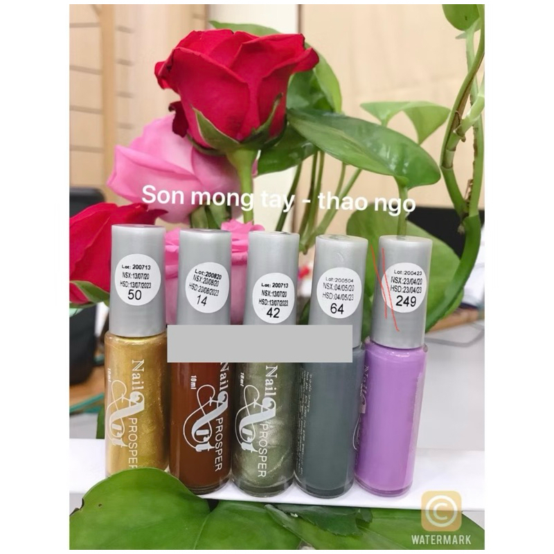 Cọ nét vẽ móng sơn thường 10ml