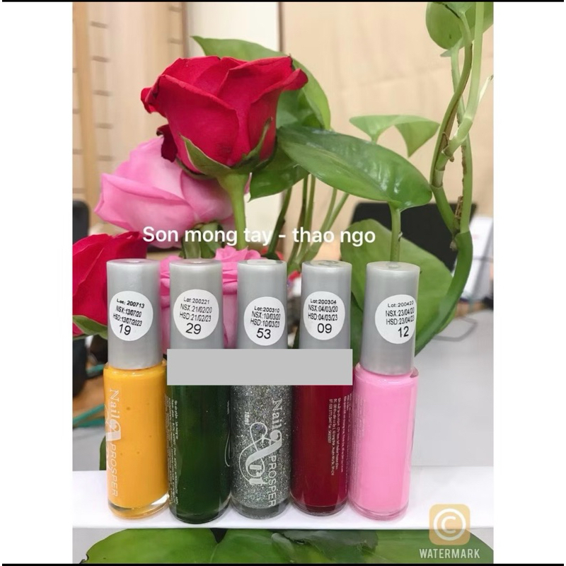 Cọ nét vẽ móng sơn thường 10ml
