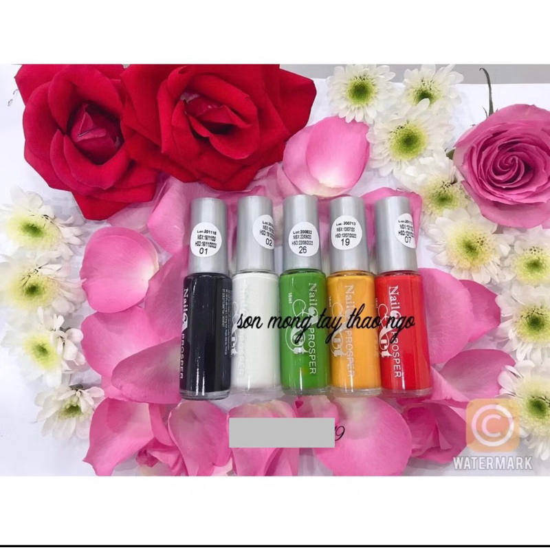 Cọ nét vẽ móng dành cho sơn thường 10ml