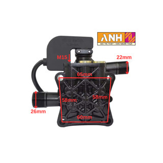 Đầu máy bơm rửa xe mini (có kèm rơ le điện )