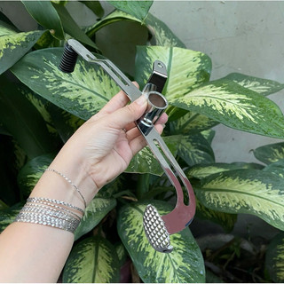 Cần số 2 chiều Winner V1 sắt xi ken