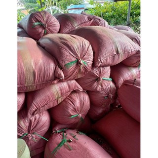 1kg Mụn Dừa, Sơ DừaTrồng Ươm Cây