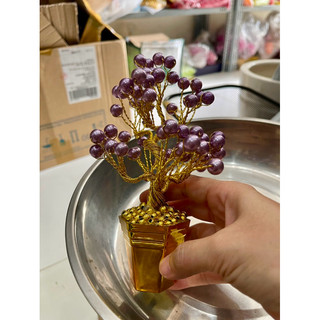 Chậu hoa để thân tài cao 15cm