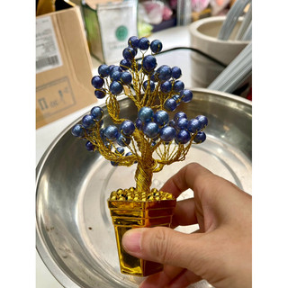 Chậu hoa để thân tài cao 15cm