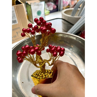 Chậu hoa để thân tài cao 15cm