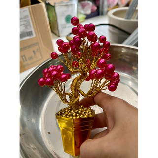 Chậu hoa để thân tài cao 15cm