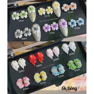 Hoa bột gắn móng trang trí HK NAIL ACCESSORIES