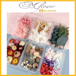 Hộp Hoa Khô Mix Tổng Hợp Trang Trí Resin