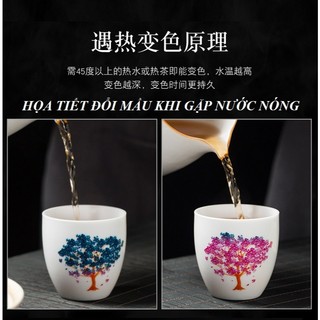 Chén Sứ Cảnh Đức Dùng Thưởng Trà Với Họa Tiết Đổi Màu Khi Gặp Nước Nóng Dung Tích 120 ml