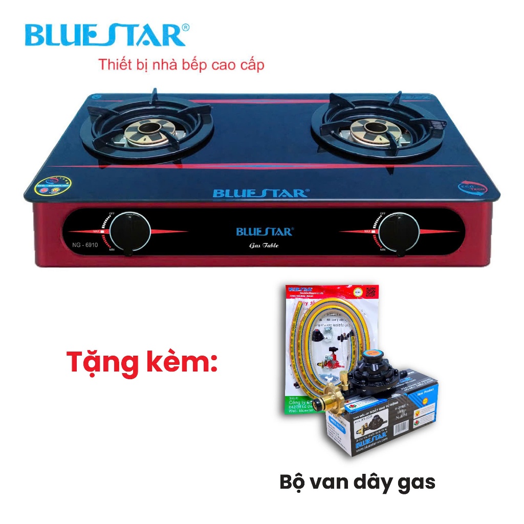Bếp ga đôi Bluestar NG-6910H, kính cường lực, đánh lửa magneto, bảo hành 2 năm, bếp ga mini / bếp ga