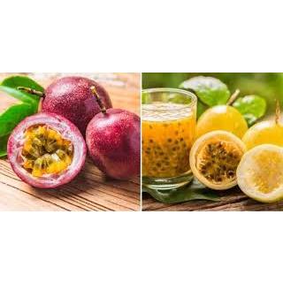 Cây Giống Chanh Leo Tím, Cây Chanh Leo Vàng Đài Loan Cho Quả Sớm