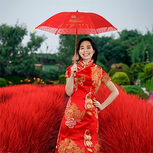 Ô Dù Cưới Đỏ, Dù Màu Đỏ, Dù Đám Cưới xếp gọn hình uyên ương