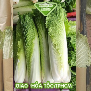 Cải Thảo Hỏa Tiễn ( MICHIHILI ) Hữu Cơ - Tươi Ngon, Giàu Dinh Dưỡng, An Toàn Cho Sức Khỏe