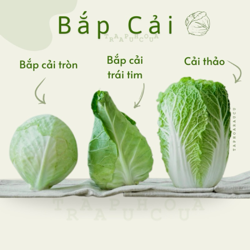Bắp Cải Đà Lạt - 500g ( Giao hoả tốc )