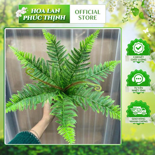 cụm dương sỉ trang trí cao cấp