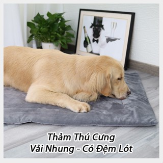 Thảm Cho Chó Mèo 50x80cm Vải Nhung [MÀU NGẪU NHIÊN], Nệm Ngủ Chó, Đệm Lót Chuồng Chó