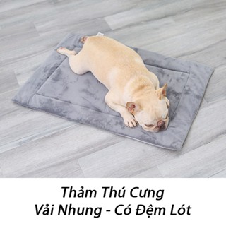 Thảm Cho Chó Mèo 40x50cm Vải Nhung [MÀU NGẪU NHIÊN], Nệm Ngủ Chó, Đệm Lót Chuồng Chó